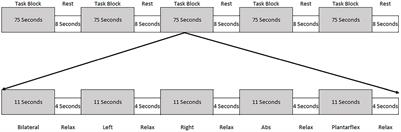 Task-Based Functional Connectivity and Blood-Oxygen-Level-Dependent Activation During Within-Scanner Performance of Lumbopelvic Motor Tasks: A Functional Magnetic Resonance Imaging Study